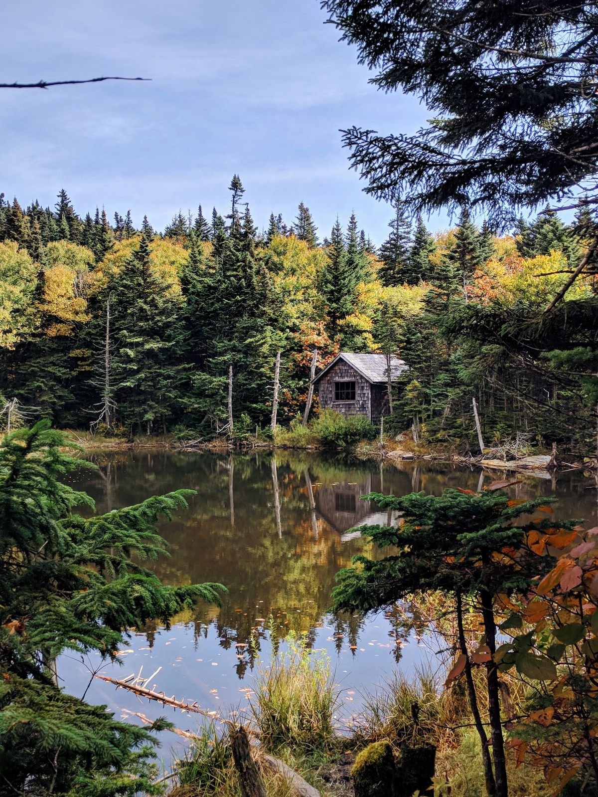 Mt Greylock hiking trail - cabin in the woods across the pond, surrounded by evergreens