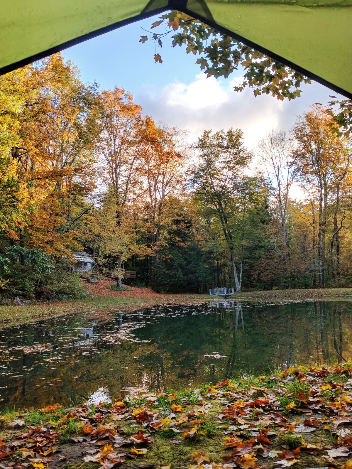 Mt Greylock Campsite Park - view from a pond tent site in the fall