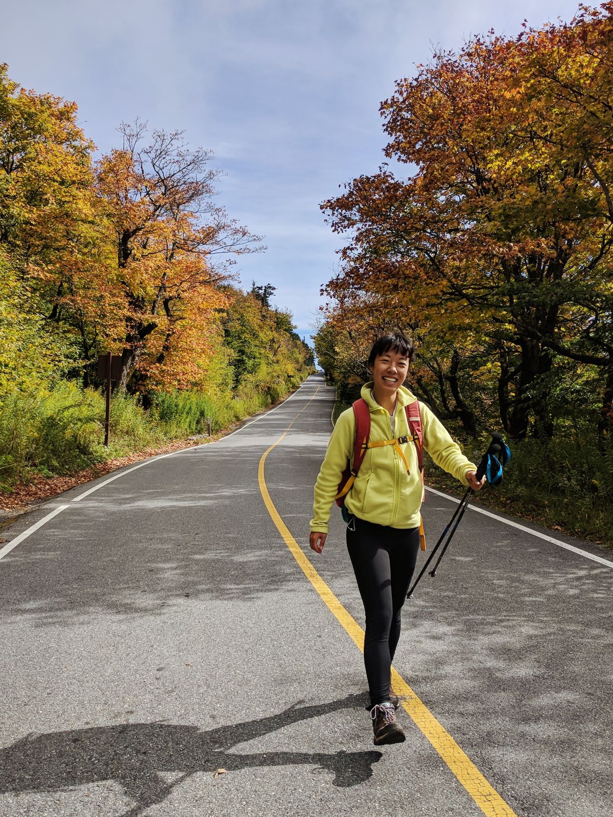 Mt Greylock hiking - fall foliage in late September along the main road