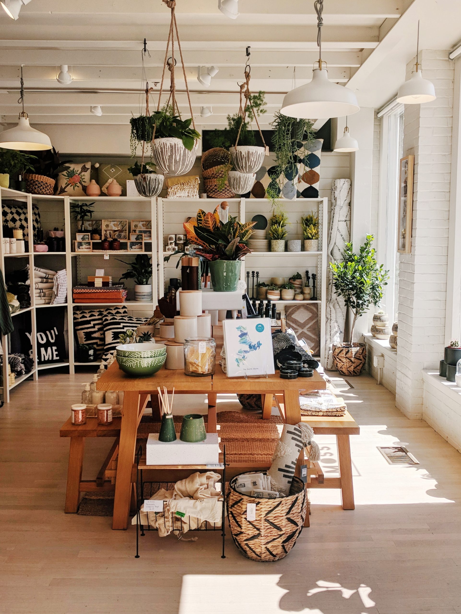 Oak+Moss shop in Salem, with hanging plants and an aesthetic white interior