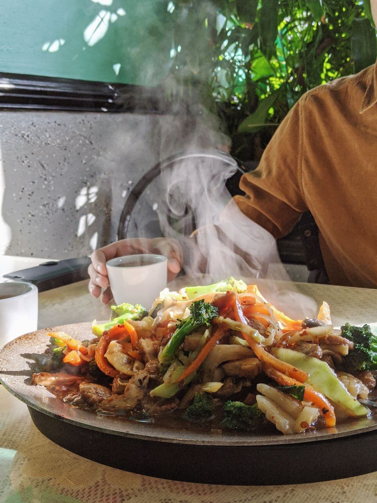 a plate of steaming veggies and mock meats