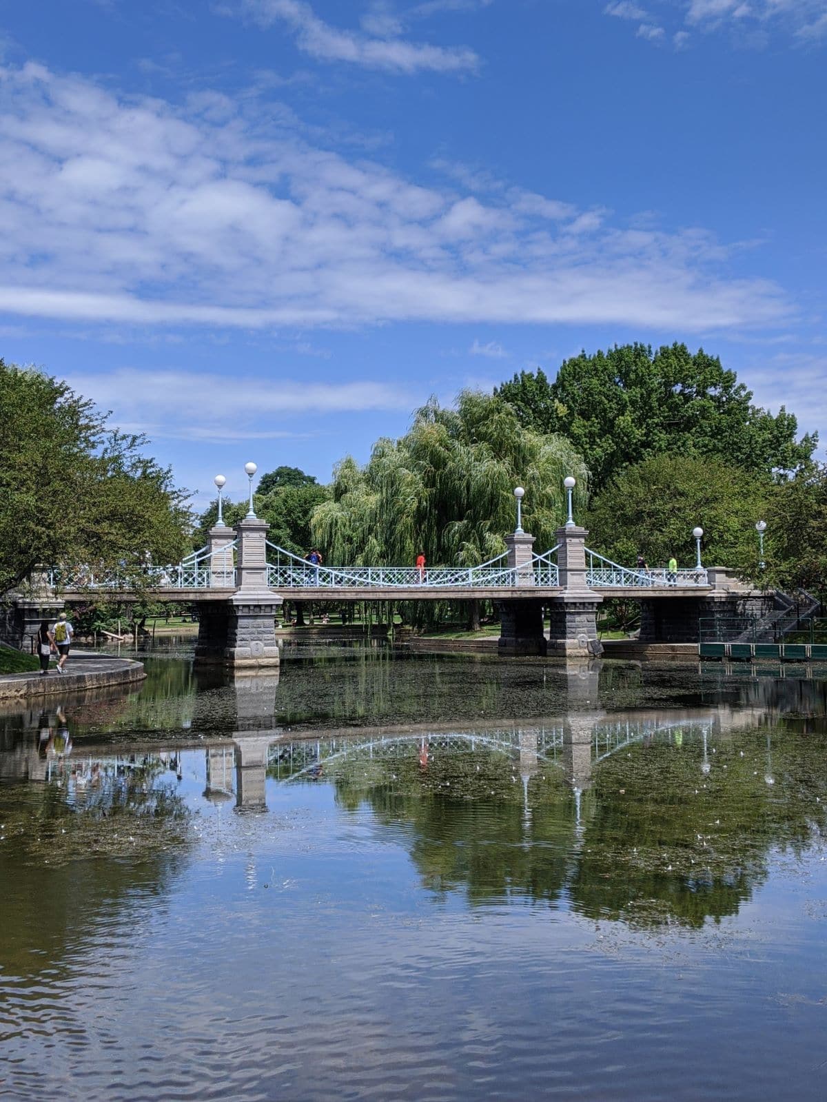 reflection of a bridge in the water on a clear day