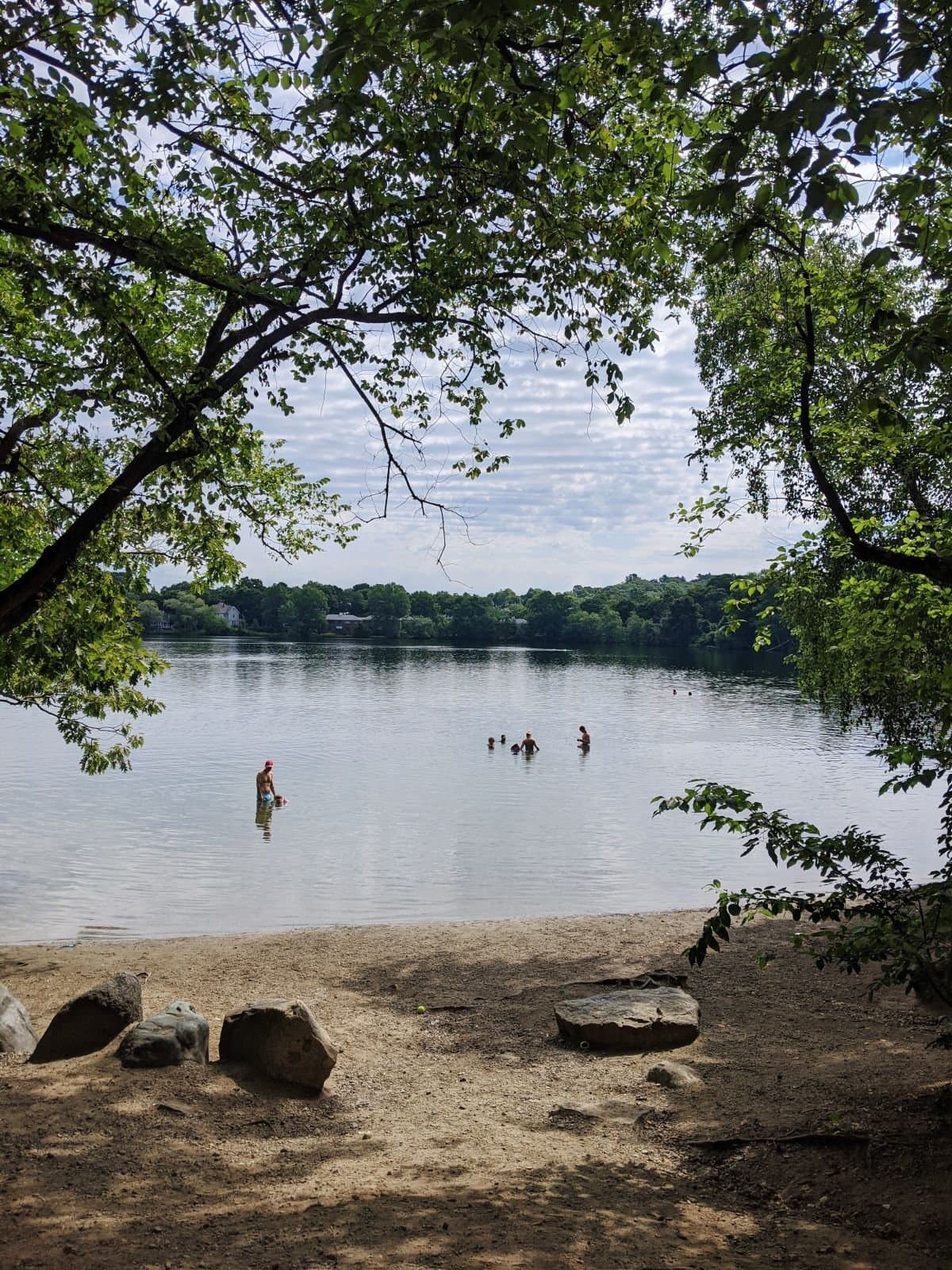 Levingston Cove at Crystal Lake with a sandy beach and trees