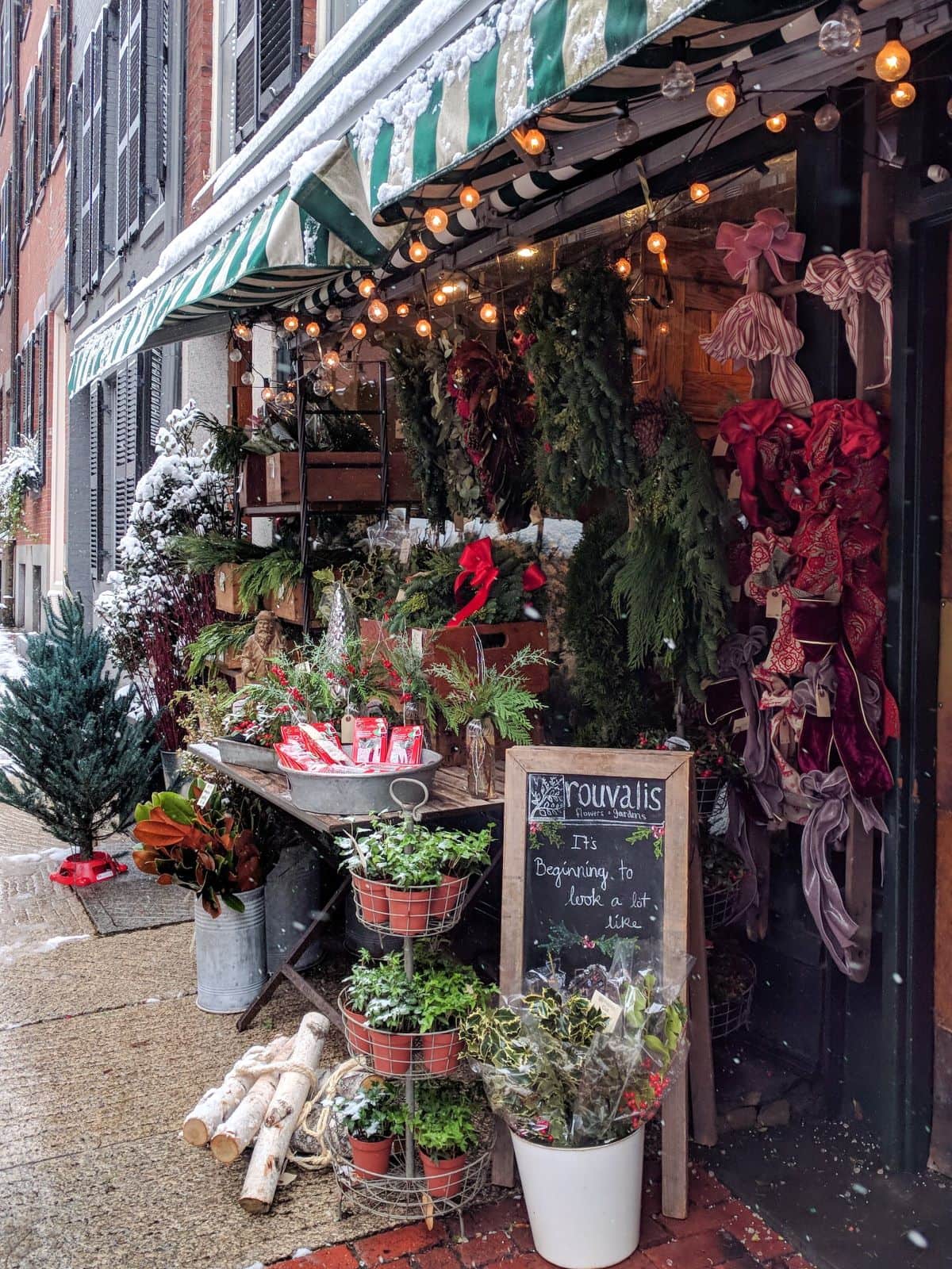 winter display at Rouvalis Flowers