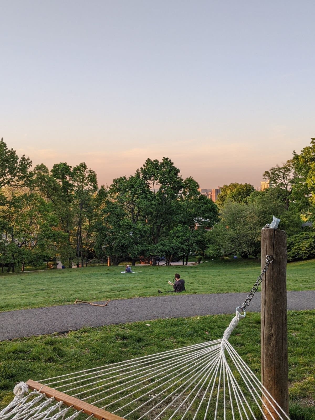 golden hour at Corey Hill Park from a hammock