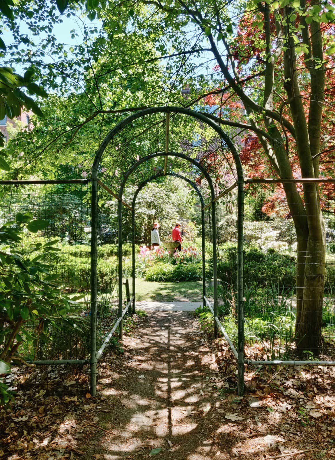 archway leading to Hall's Pond garden with trees and flowers