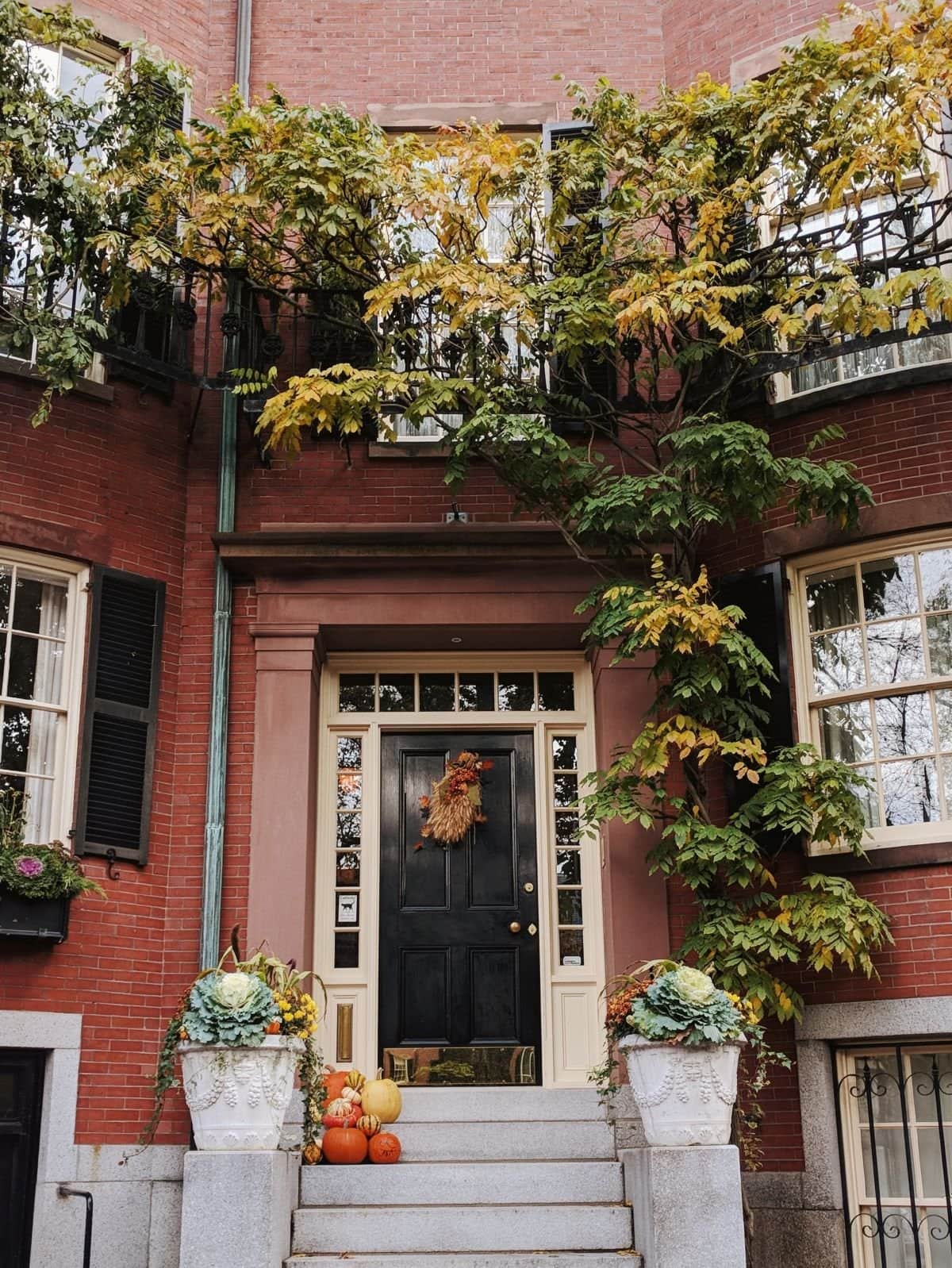 Ivy-surrounded door in Louisburg Square in the fall