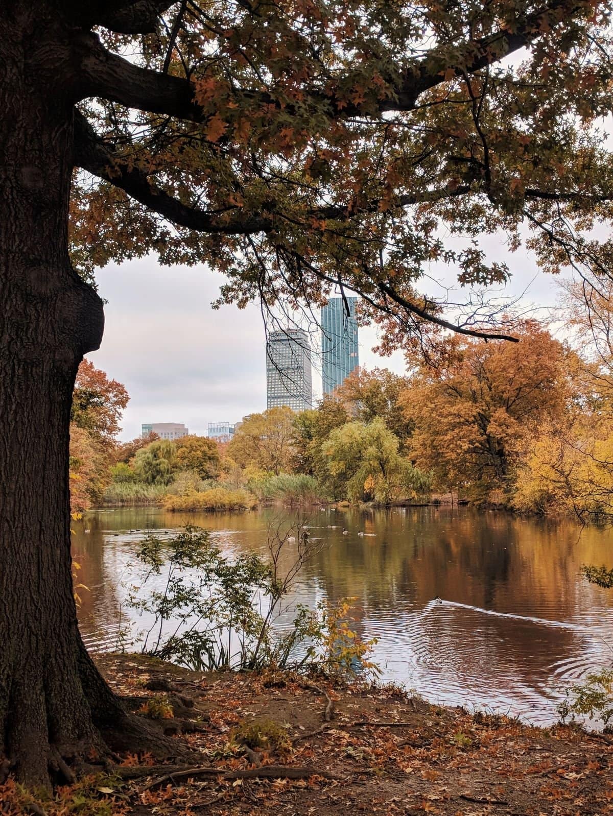 Fall Foliage Boston: 18 Best Leaf Peeping Spots in New England For