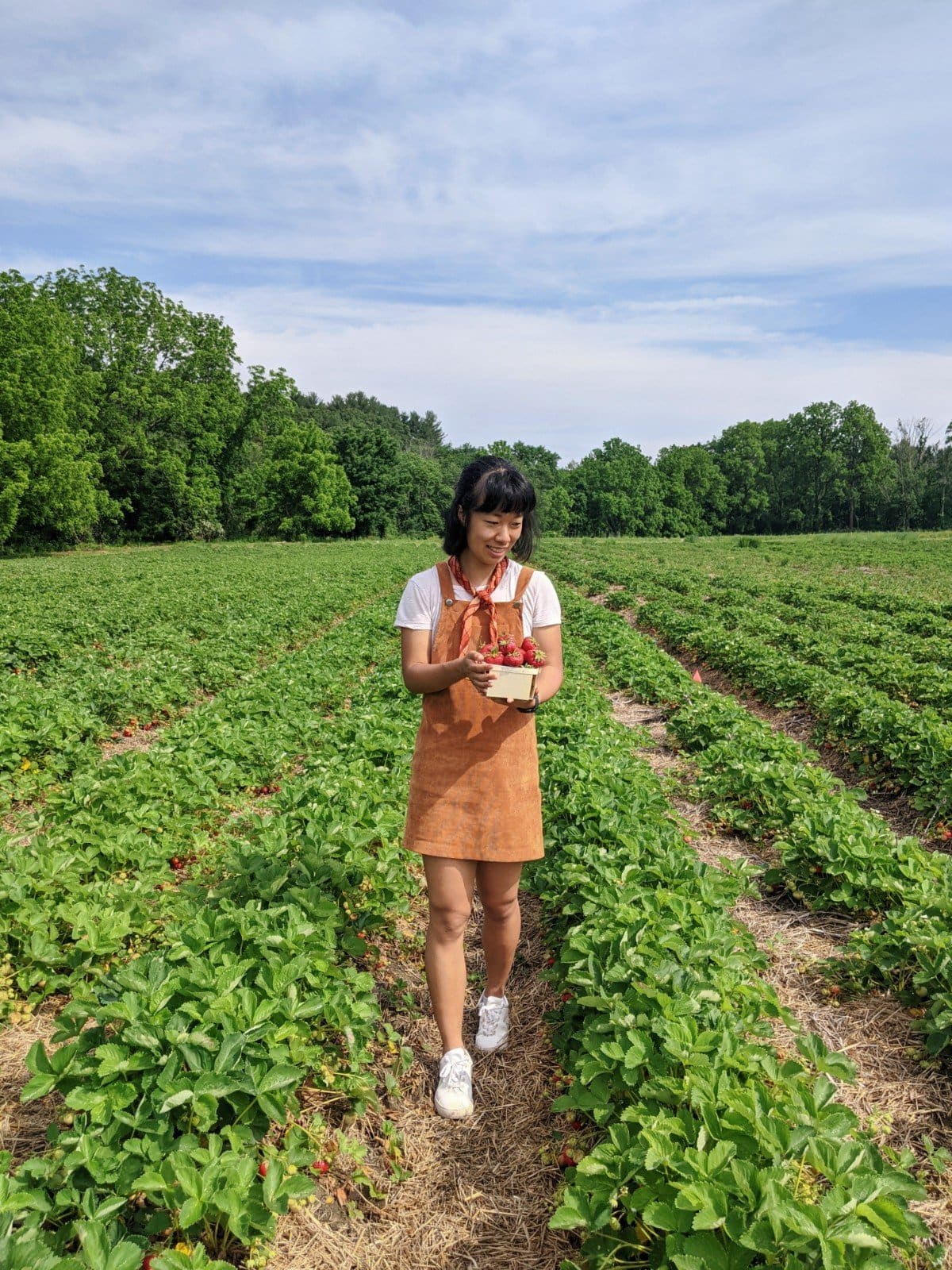 Family farms on sale near me